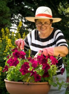 Elder Care in Glenview IL: Raised Bed Gardening
