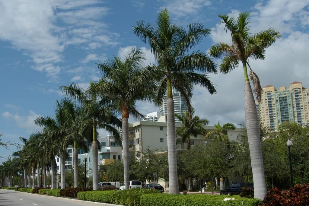 Home Care in Miami Beach, FL by Companion Services of America