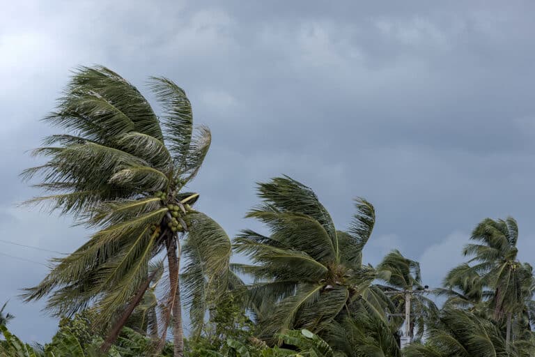 Helping Miami seniors stay safe during hurricane season